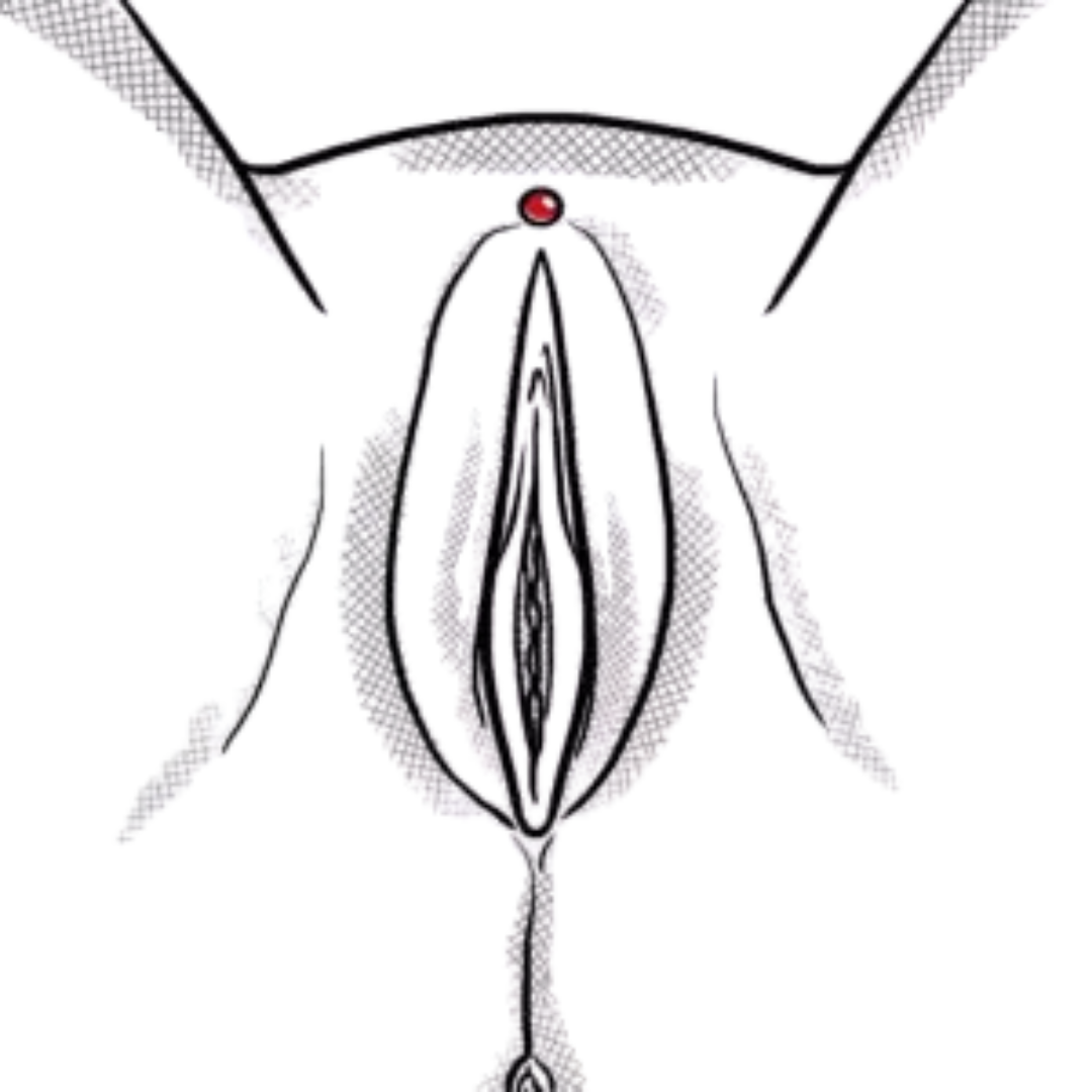 Dermal Anchor im Intimbereich