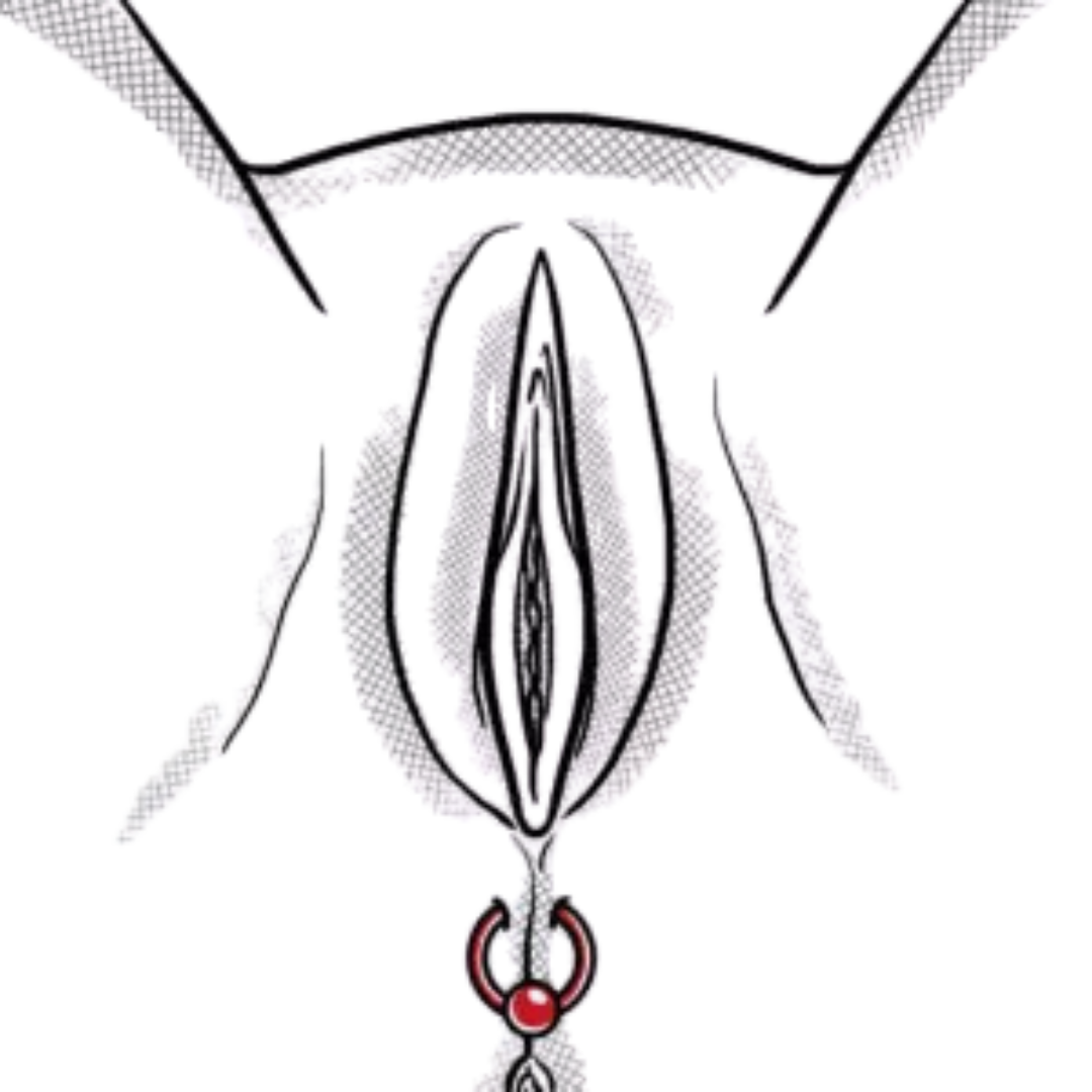 Weibliche Guiche Piercing