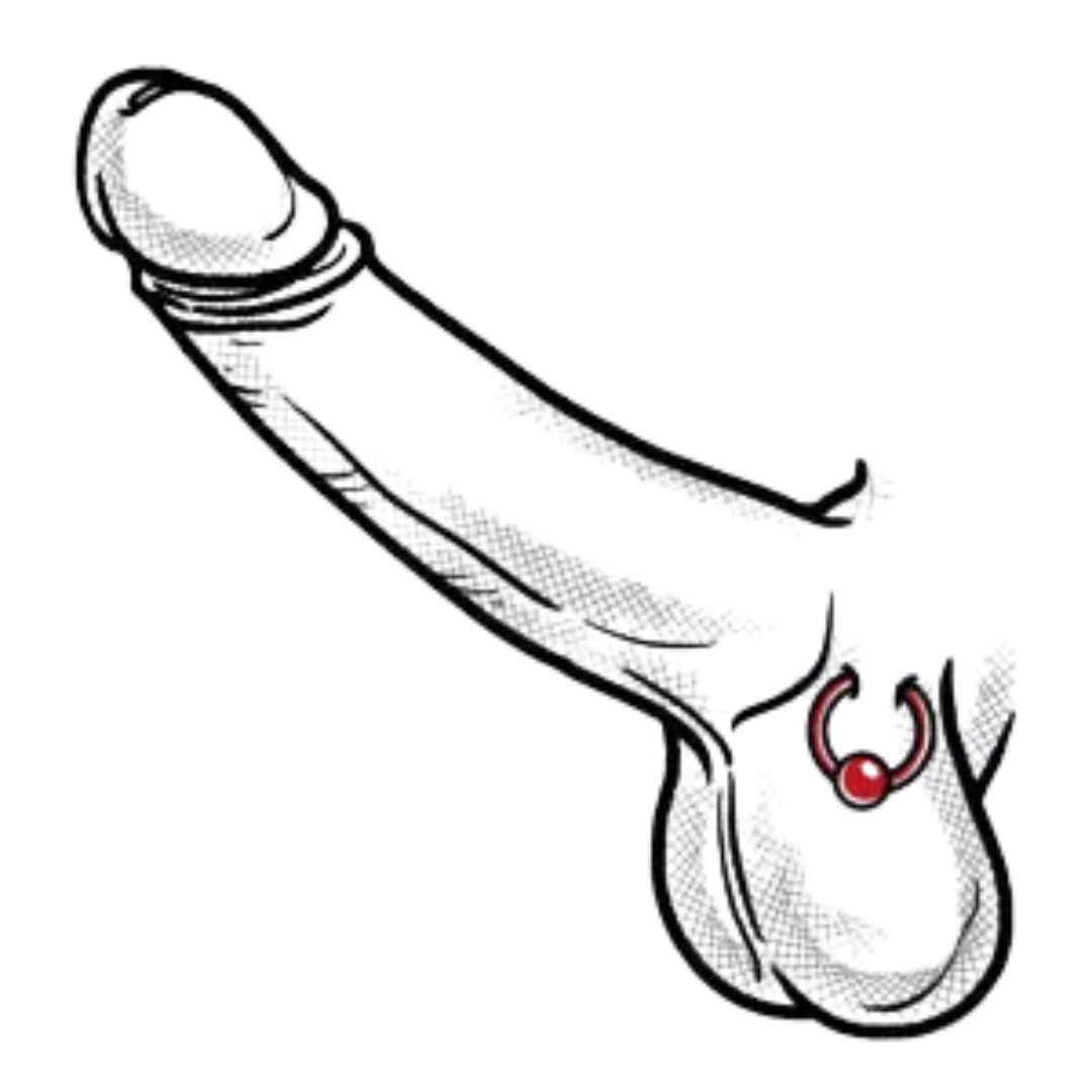 Hafada Piercing