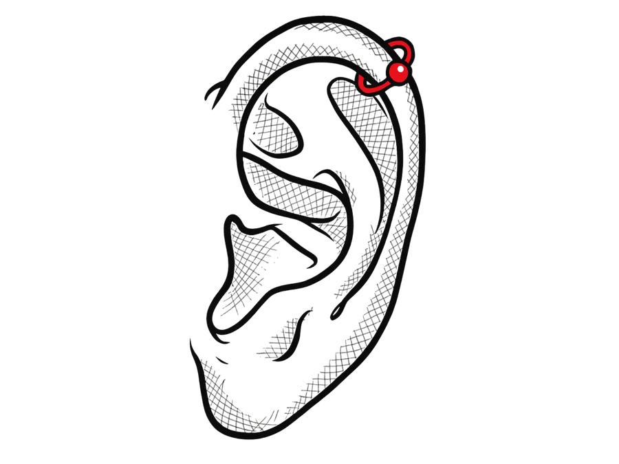 Illustration eines Helix Piercings am oberen Ohrknorpel