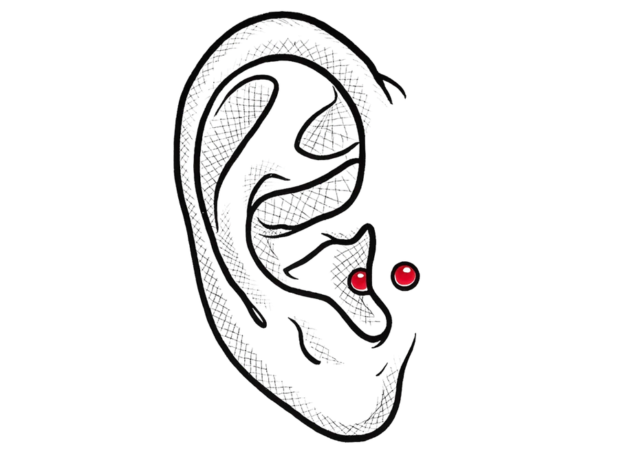 Illustration eines Tragus Piercings