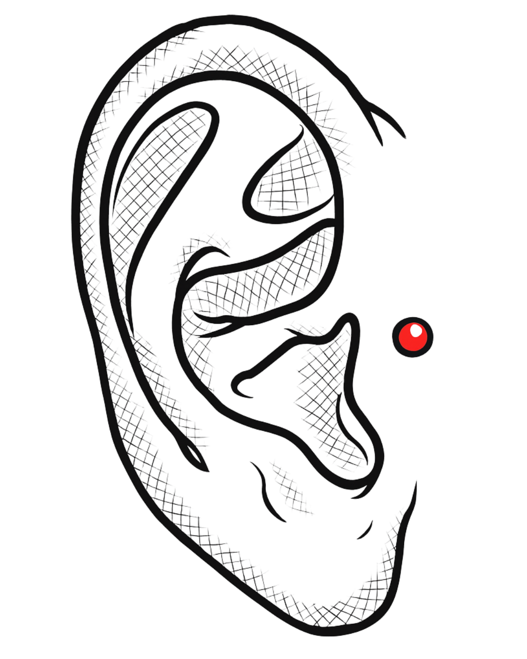 Dermal Anchor (Ohr)