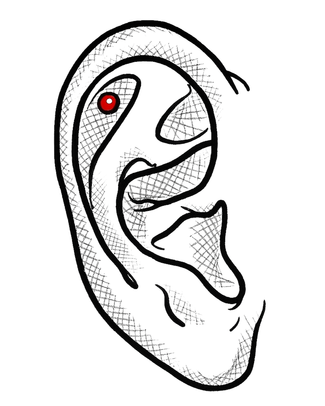 Conch Piercing (Outer)