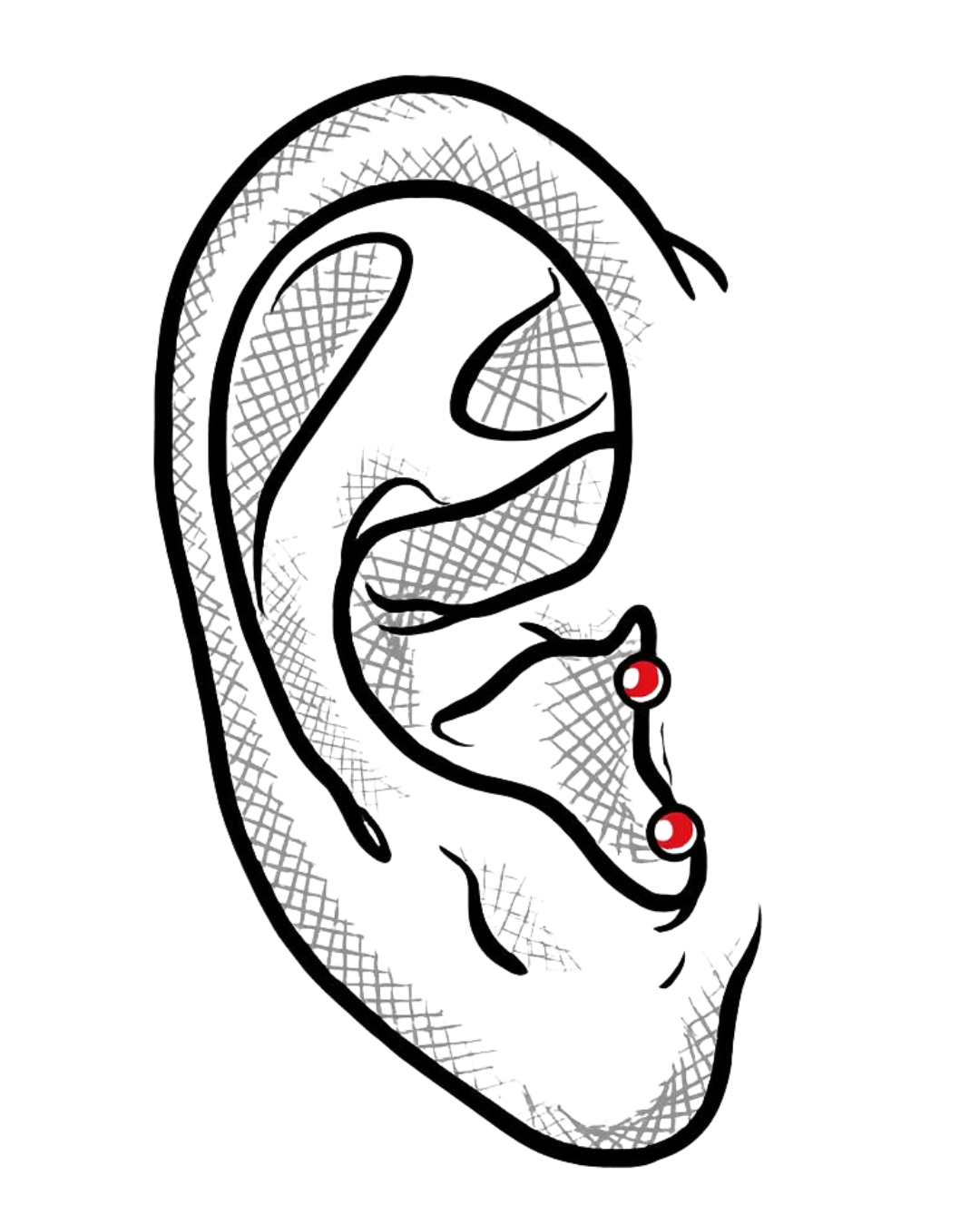 Vertikal Tragus