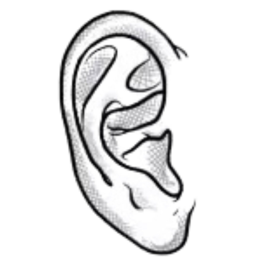 Ohr Piercings
